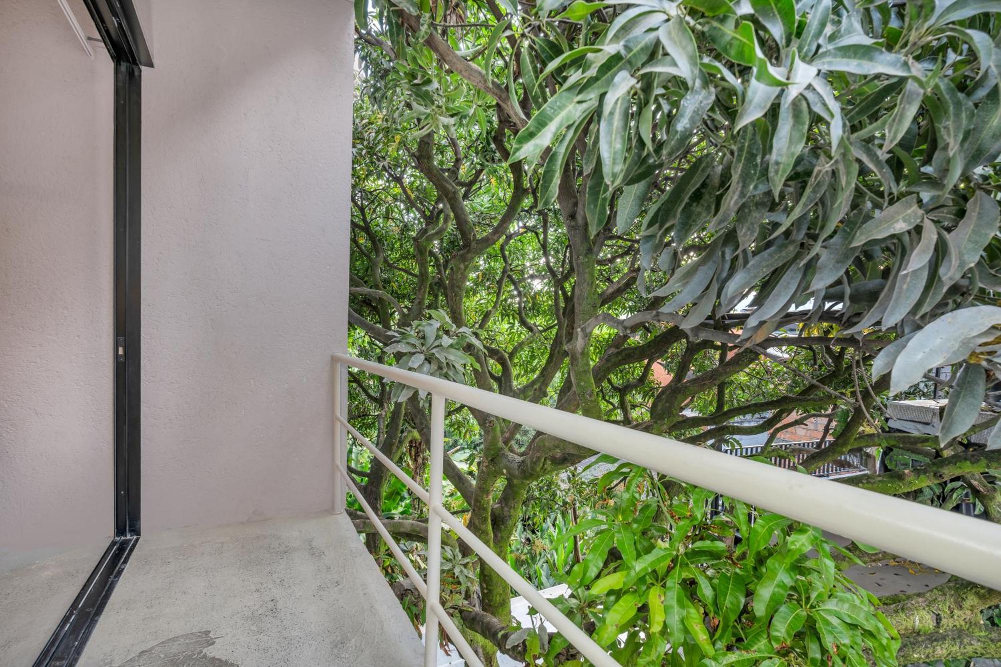 Botanica Casa Hotel Manila By Housy Host Μεντεγίν Εξωτερικό φωτογραφία